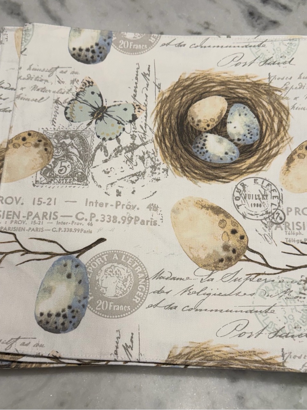 Spring Beige, Blue & brown Bird Nest & Egg Print Placemats - Set of 4